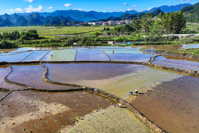 小暑 农事 宁远
