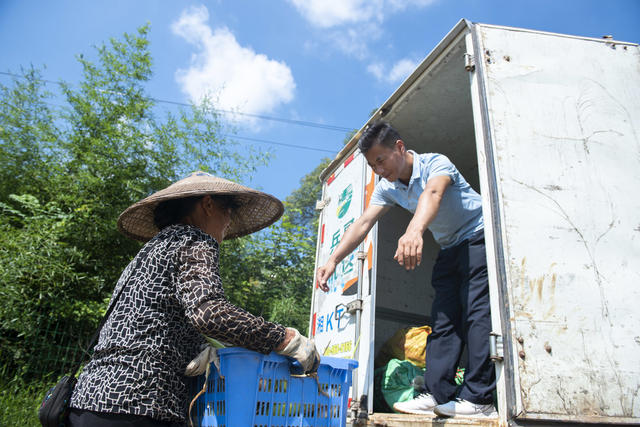 湖南娄底  玉米 小暑 夏收