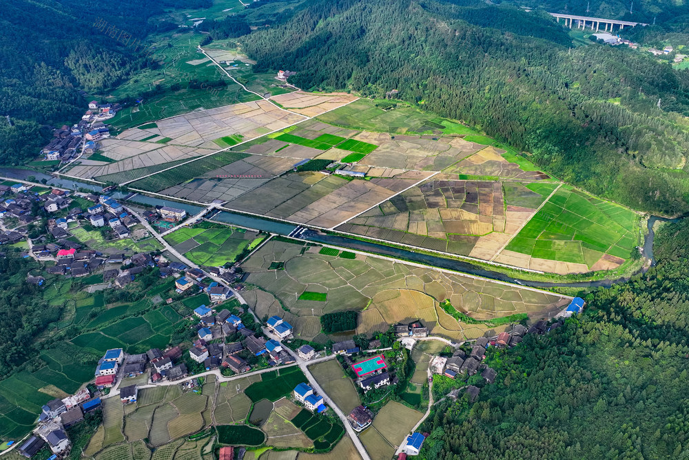 乡村 田园 生态 村庄 稻田 