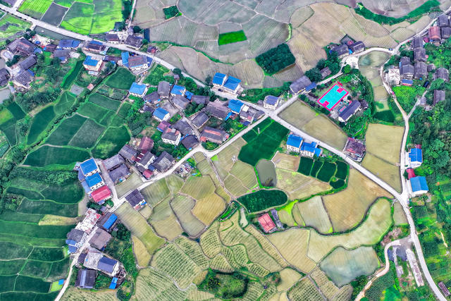 乡村 田园 生态 村庄 稻田 