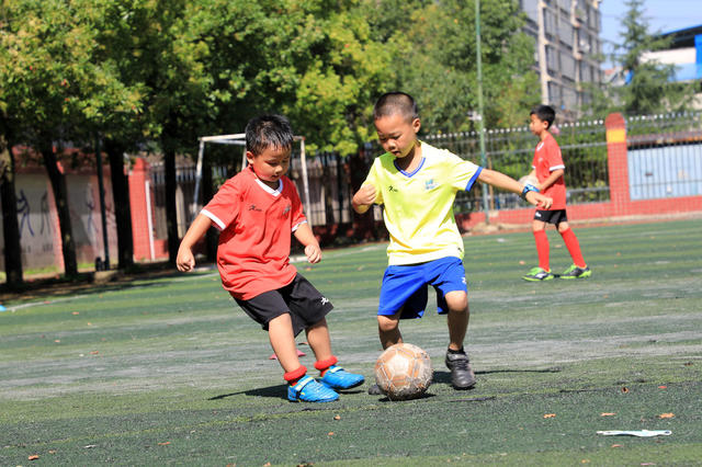 湖南邵东  暑假  运动  足球  篮球  兴趣班  小朋友