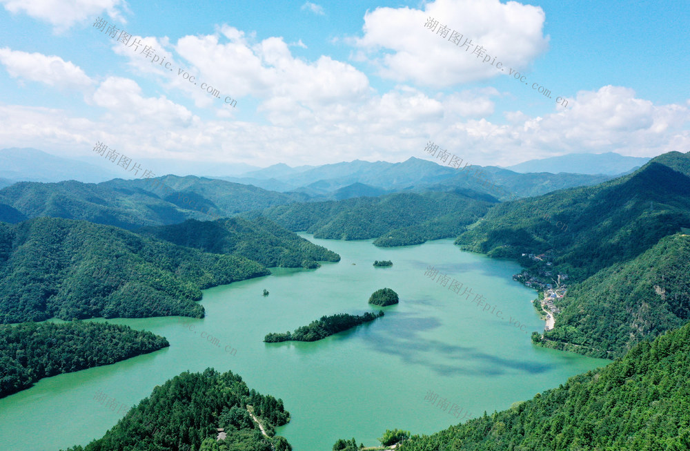 湿地 公园 生态 景色 