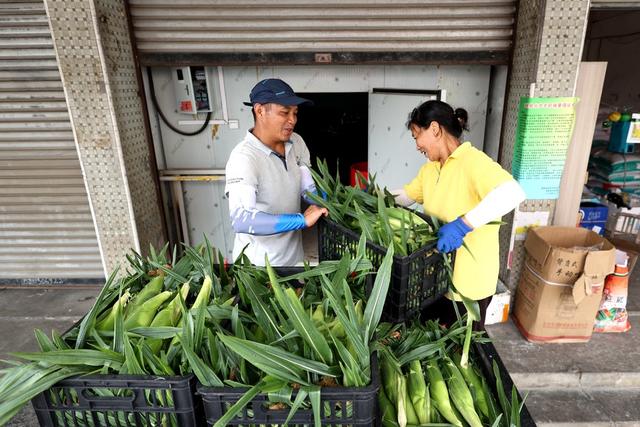 冷库、农产品保鲜、农业、冷藏设施、产业