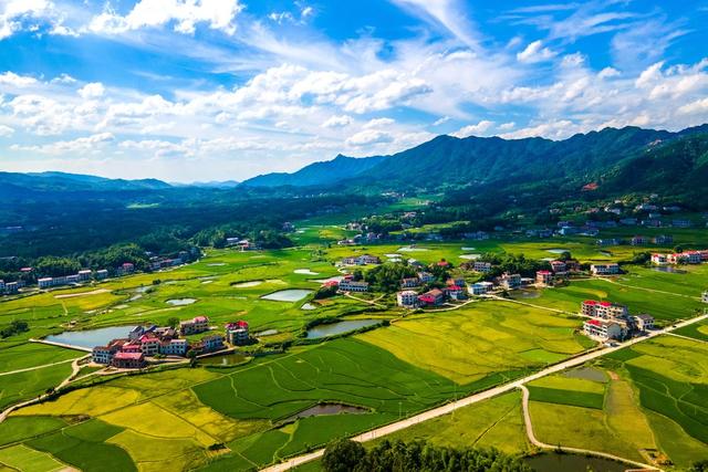 和美  乡村  画卷  生态环境  产业  基础设施