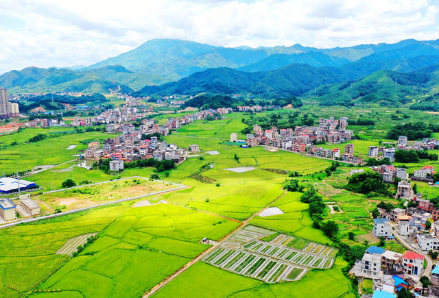 蓝山：稻田“丰”景入画来