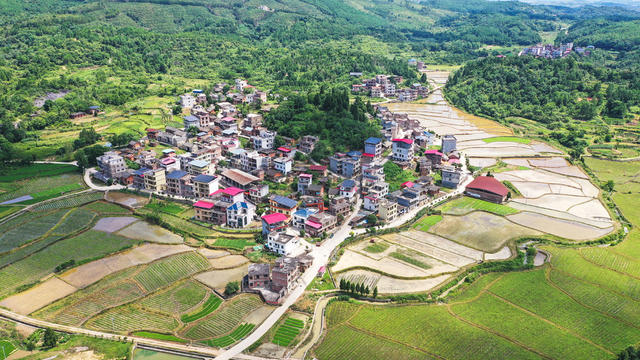 秀美  山村  生态  画卷
