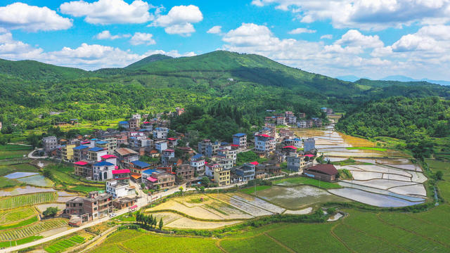 秀美  山村  生态  画卷
