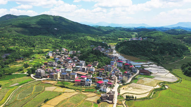 秀美  山村  生态  画卷