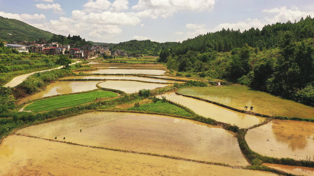 秀美  山村  生态  画卷