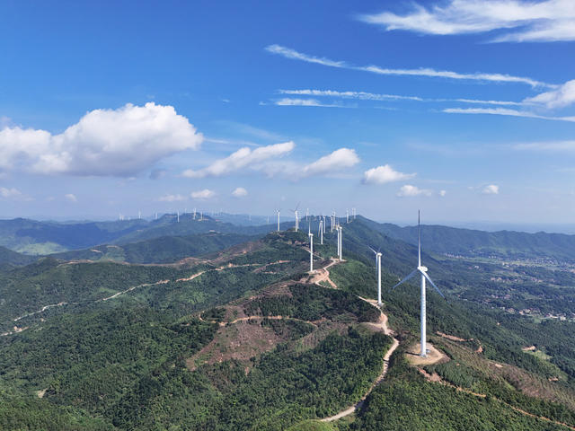 风电场  风力  发电  生态  经济  画卷