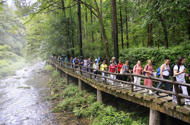 金鞭溪,张家界,避暑,纳凉
