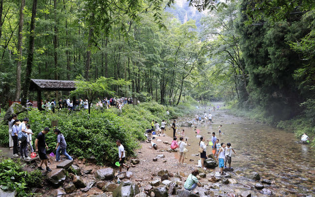 金鞭溪,张家界,避暑,纳凉