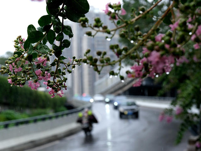 强降雨，缓解高温