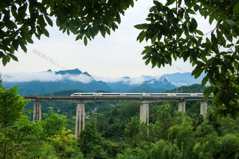 湖南，龙山，武陵山区，列车，黔张常铁路，交通运输，经济发展，乡村振兴