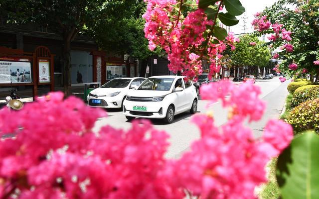 紫薇花开 风景如画