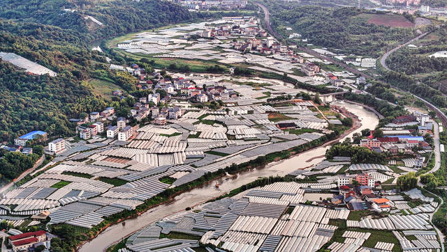 航拍  湖南  郴州  苏仙区  卜里坪  长冲铺  梁家湾  葡萄基地。   巨峰  仙鹿  商标  湘南葡萄文化第一村   