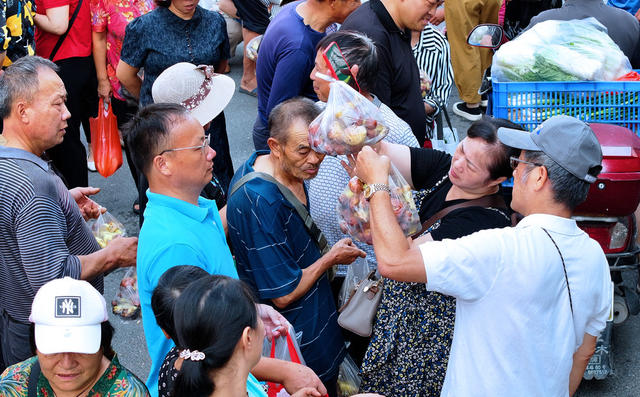 湖南桂东  特产  乡村振兴 黄菌 桂东三件宝