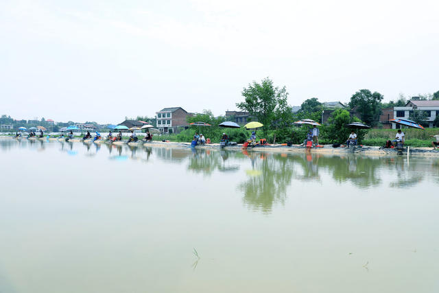 垂钓  休闲  农村文化  生态  旅游