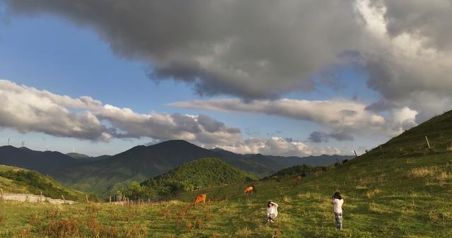高山生态牧场美如画卷
