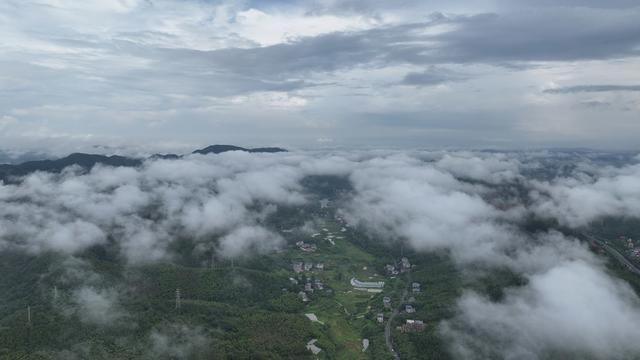郴州市  城区  立秋  云海  云雾 
 林邑之城  苏仙岭  王仙岭 山涧  
 林中之城  美丽  山水画卷  航拍 
 黄建华  