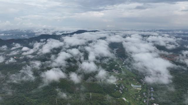 郴州市  城区  立秋  云海  云雾 
 林邑之城  苏仙岭  王仙岭 山涧  
 林中之城  美丽  山水画卷  航拍 
 黄建华  