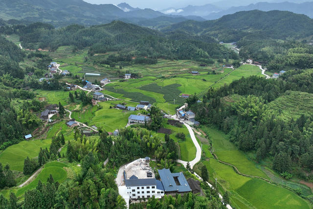 稠树脚村生态美