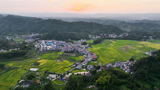 新农村  秋色美  田园美
