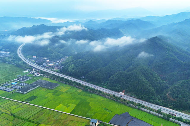 交通、乡村、生态、农业、田园