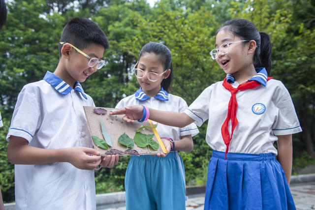 湖南娄底 全国生态日 环保志愿者 大自然 生态环境 青少年