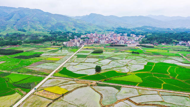 田园  产业  画卷  乡村