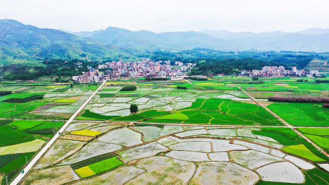 田园  产业  画卷  乡村