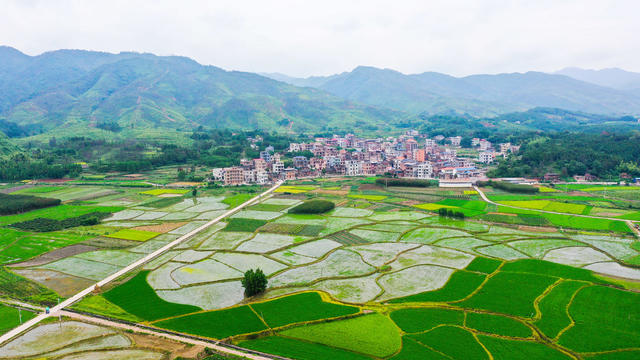 田园  产业  画卷  乡村