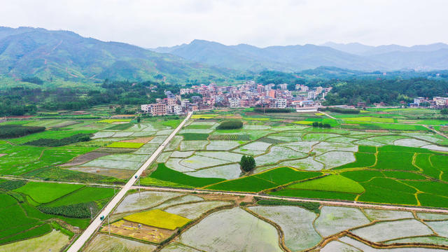 田园  产业  画卷  乡村