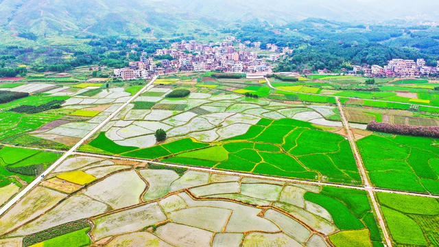 田园  产业  画卷  乡村