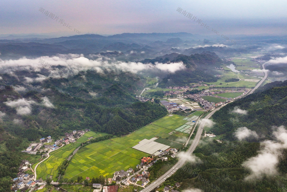 公路 田园 乡村 交通 雾