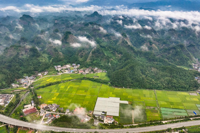 公路 田园 乡村 交通 雾