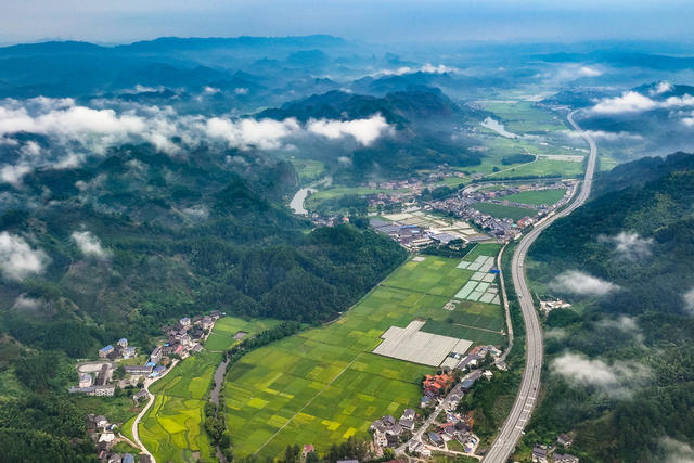 公路 田园 乡村 交通 雾