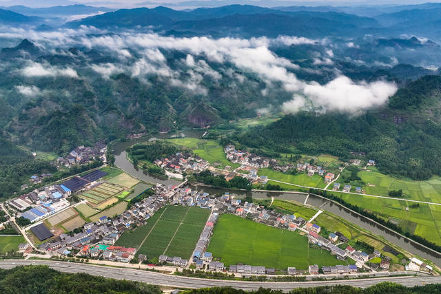 公路 田园 乡村 交通 雾