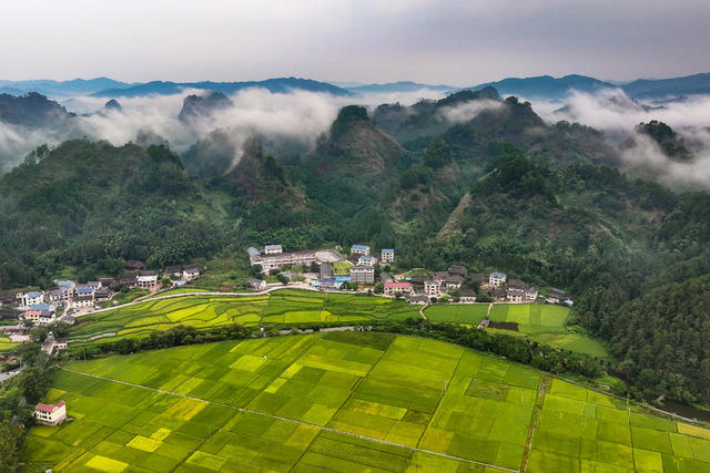 公路 田园 乡村 交通 雾