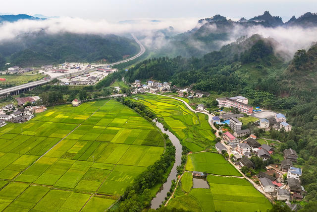 公路 田园 乡村 交通 雾
