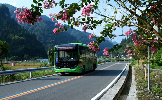 紫薇花 公路 旅游 乡村 初秋