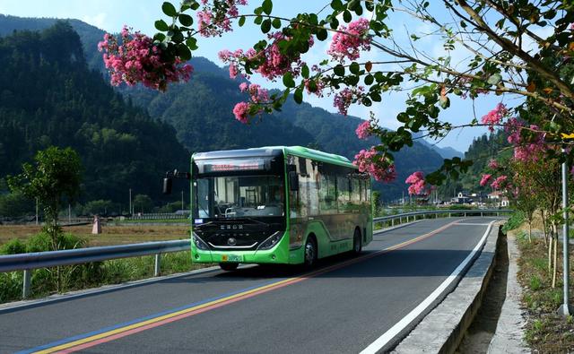 紫薇花 公路 旅游 乡村 初秋