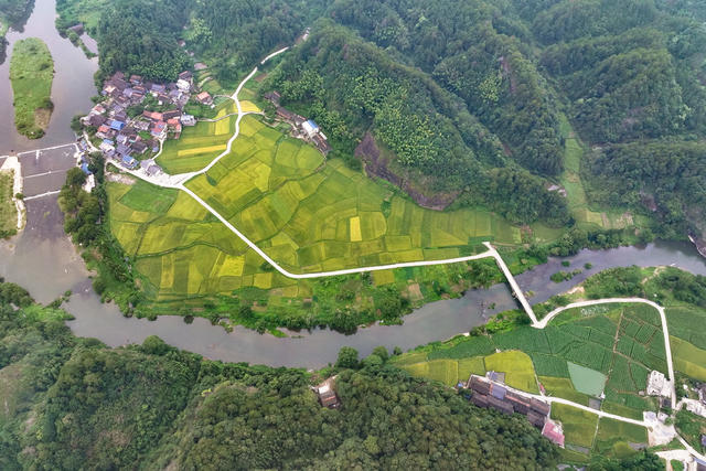 乡村 生态 公路 村 田园