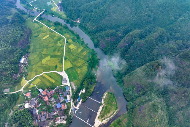 乡村 生态 公路 村 田园
