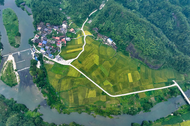 乡村 生态 公路 村 田园