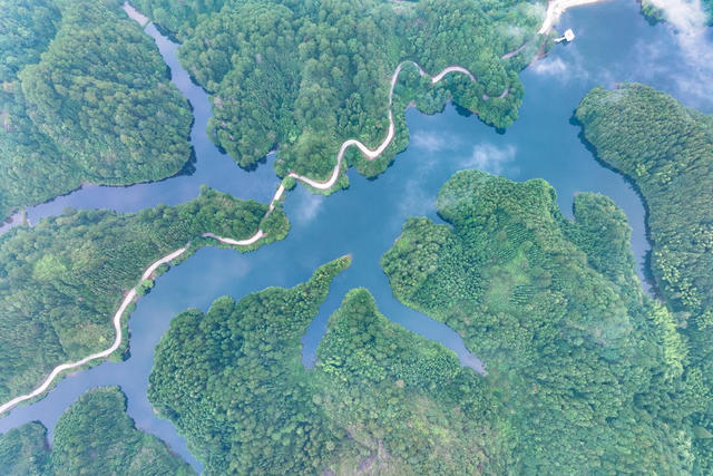 湿地 公园 公路 水库 生态