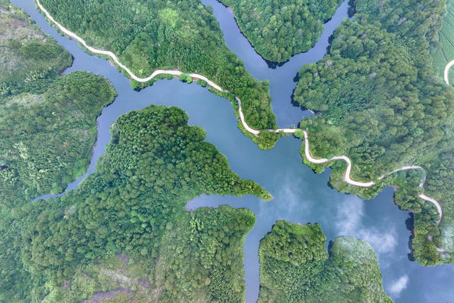 湿地 公园 公路 水库 生态