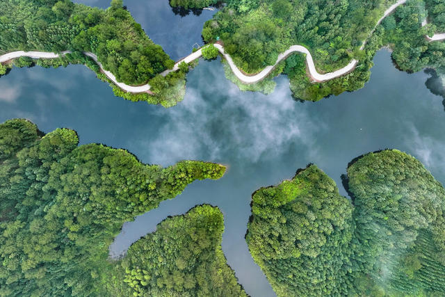 湿地 公园 公路 水库 生态