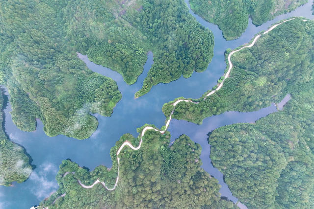 湿地 公园 公路 水库 生态