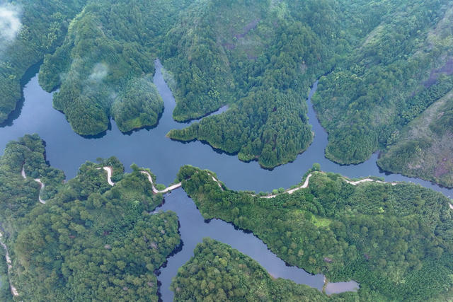 湿地 公园 公路 水库 生态